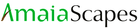 Client 1